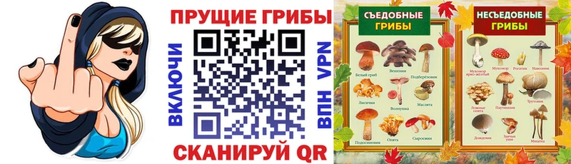 Галлюциногенные грибы GOLDEN TEACHER Арск